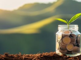 La fiscalité des investissements durables : un levier puissant pour encourager la finance responsable